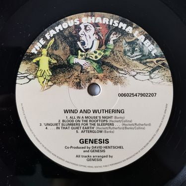 Genesis - Wind & Wuthering - фото 6 Genesis - Wind & Wuthering - фото 6