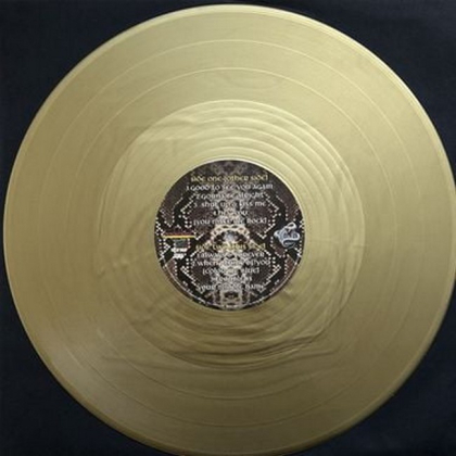 Whitesnake - Flesh &amp; Blood - фото 6