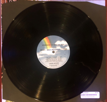 Lynyrd Skynyrd - Pronounced 'Leh-Nerd  ' Skin-Herd - фото 6