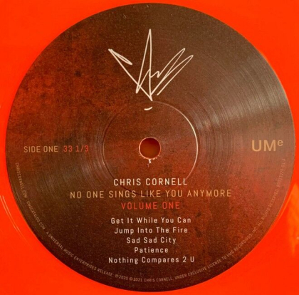 Chris Cornell &ndash; No One Sings Like You Anymore - фото 3