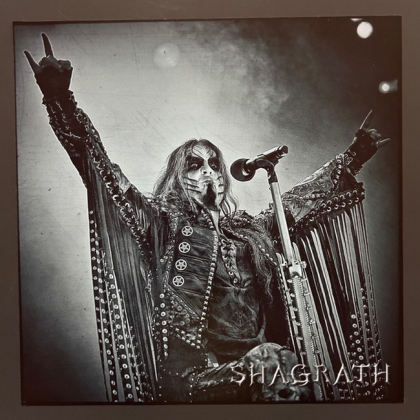 Dimmu Borgir &ndash; Northern Forces Over Wacken - фото 5