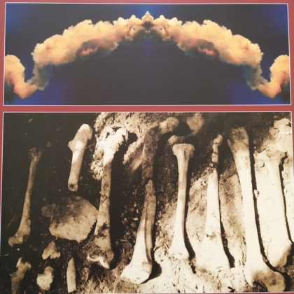 Swans &ndash; Soundtracks For The Blind - фото 3