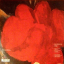 Nick Cave And The Bad Seeds  &ndash; No More Shall We Part - фото 2
