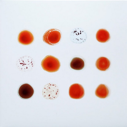 Peter Gabriel &ndash; Scratch My Back / And I&#039;ll Scratch Yours - фото 2