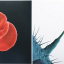 Peter Gabriel &ndash; Scratch My Back / And I&#039;ll Scratch Yours - фото 3