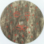Current 93 &ndash; Great Aleph Lies Dreaming - фото 4