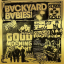 Backyard Babies &ndash; Sliver &amp; Gold - фото 1
