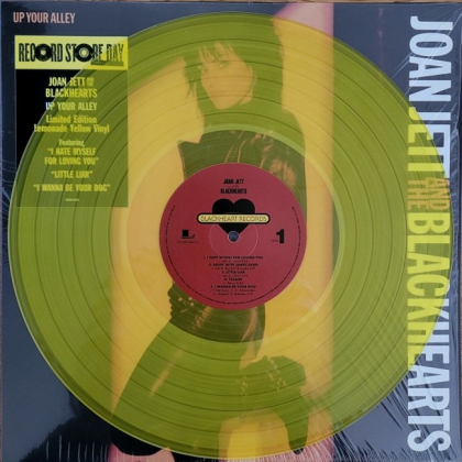 Joan Jett And The Blackhearts &ndash; Up Your Alley - фото 4