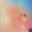 Astronoid &ndash; Radiant Bloom - фото 1