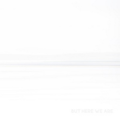 Foo Fighters &ndash; But Here We Are - фото 1