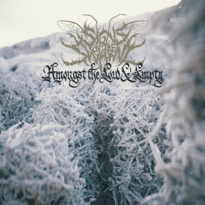 Signs Of The Swarm &ndash; Amongst The Low &amp; Empty - фото 1
