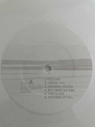 Foo Fighters &ndash; But Here We Are - фото 3