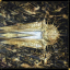 Imperial Triumphant &ndash; Alphaville - фото 1