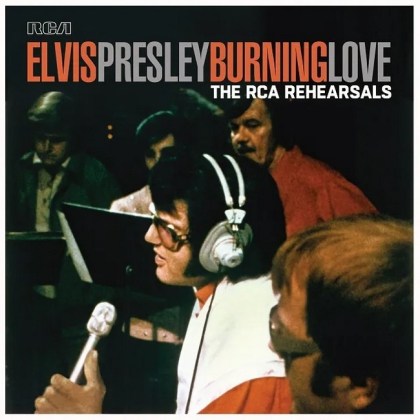 Elvis Presley &ndash; Burning Love - фото 1