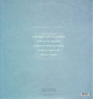 Unknown Mortal Orchestra &ndash; Blue Record - фото 2