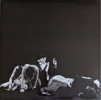 Deerhunter &ndash; Monomania - фото 2