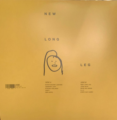 Dry Cleaning &ndash; New Long Leg - фото 2