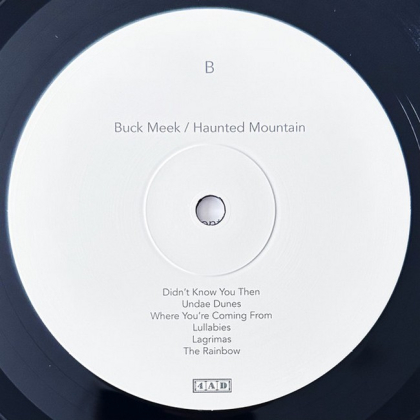 Buck Meek &ndash; Haunted Mountain - фото 4