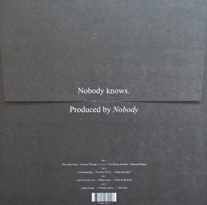 Willis Earl Beal &ndash; Nobody Knows - фото 2