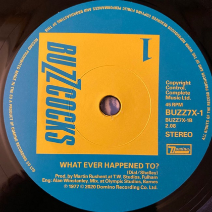 Buzzcocks &ndash; Complete UA Singles 1977-1980 - фото 6