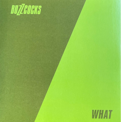 Buzzcocks &ndash; Complete UA Singles 1977-1980 - фото 7