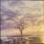 Alex G &ndash; God Save The Animals - фото 2