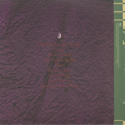 Animal Collective &ndash; Feels - фото 2