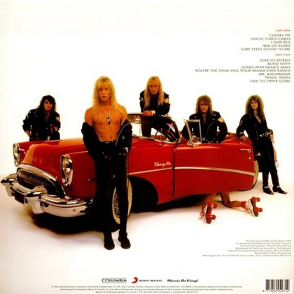 Warrant &ndash; Cherry Pie - фото 2