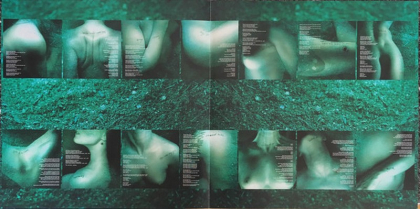 Jerry Cantrell &ndash; Degradation Trip - фото 6