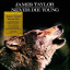 James Taylor &ndash; Never Die Young - фото 1