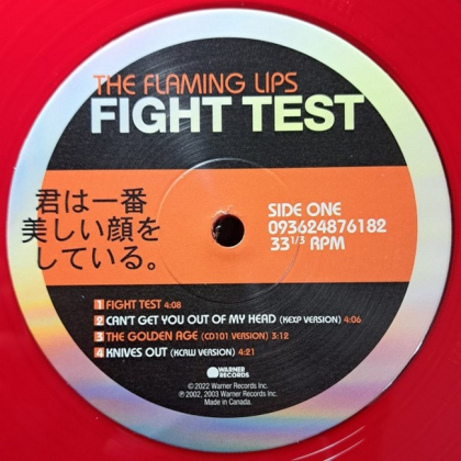 The Flaming Lips &ndash; Fight Test - фото 4