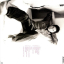 k.d. lang &ndash; Watershed - фото 2