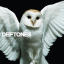 Deftones &ndash; Diamond Eyes - фото 1
