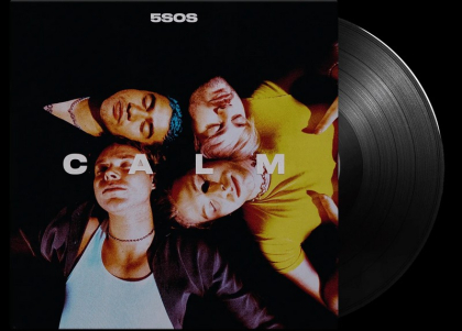 5SOS &ndash; Calm - фото 3