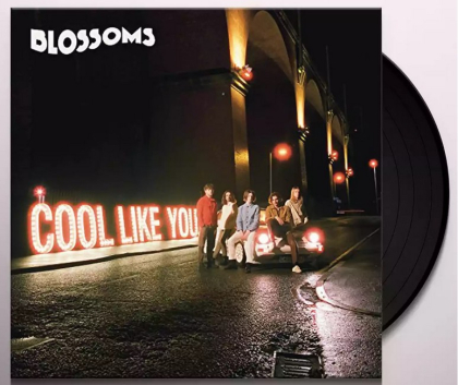 Blossoms &ndash; Cool Like You - фото 3