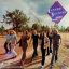 Lynyrd Skynyrd &ndash; Nuthin&#039; Fancy - фото 2