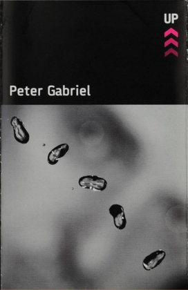 Peter Gabriel &ndash; Up - фото 1