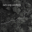 Mitski &ndash; Laurel Hell - фото 7