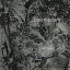 Mitski &ndash; Laurel Hell - фото 8