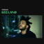 The Weeknd &ndash; Kiss Land - фото 1