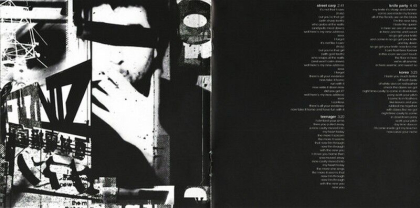 Deftones &ndash; White Pony - фото 6