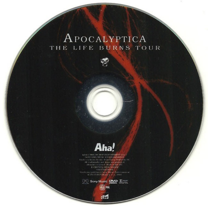 Apocalyptica &ndash; The Life Burns Tour - фото 3