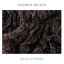 Lubomyr Melnyk &ndash; Rivers And Streams - фото 1