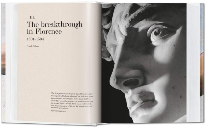 Michelangelo. The Complete Paintings, Sculptures and Arch. - фото 5 Michelangelo. The Complete Paintings, Sculptures and Arch. - фото 5