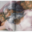 Michelangelo. The Complete Paintings, Sculptures and Arch. - фото 3 Michelangelo. The Complete Paintings, Sculptures and Arch. - фото 3