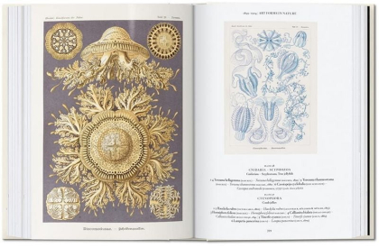 The Art and Science of Ernst Haeckel. 40th Ed. - фото 4