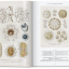 The Art and Science of Ernst Haeckel. 40th Ed. - фото 2