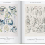 The Art and Science of Ernst Haeckel. 40th Ed. - фото 3