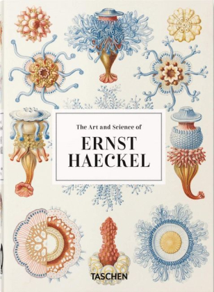 The Art and Science of Ernst Haeckel. 40th Ed. - фото 1