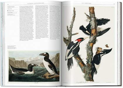 Science Illustration. A History of Visual Knowledge from the 15th Century to Today - фото 6